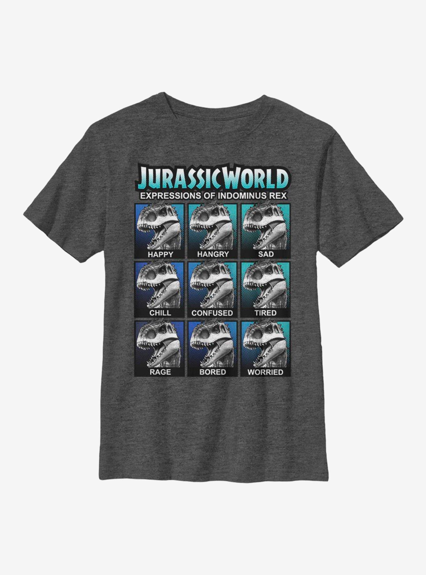 Jurassic World Expressions Youth T-Shirt, CHAR HTR, hi-res