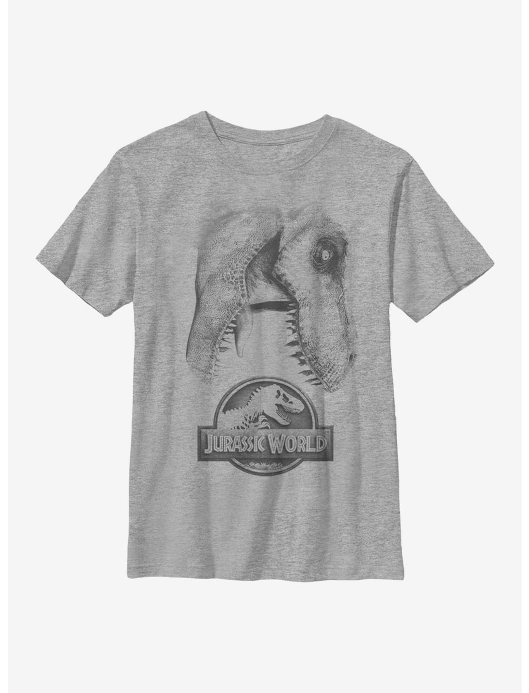Jurassic World Large Rex Youth T-Shirt, ATH HTR, hi-res