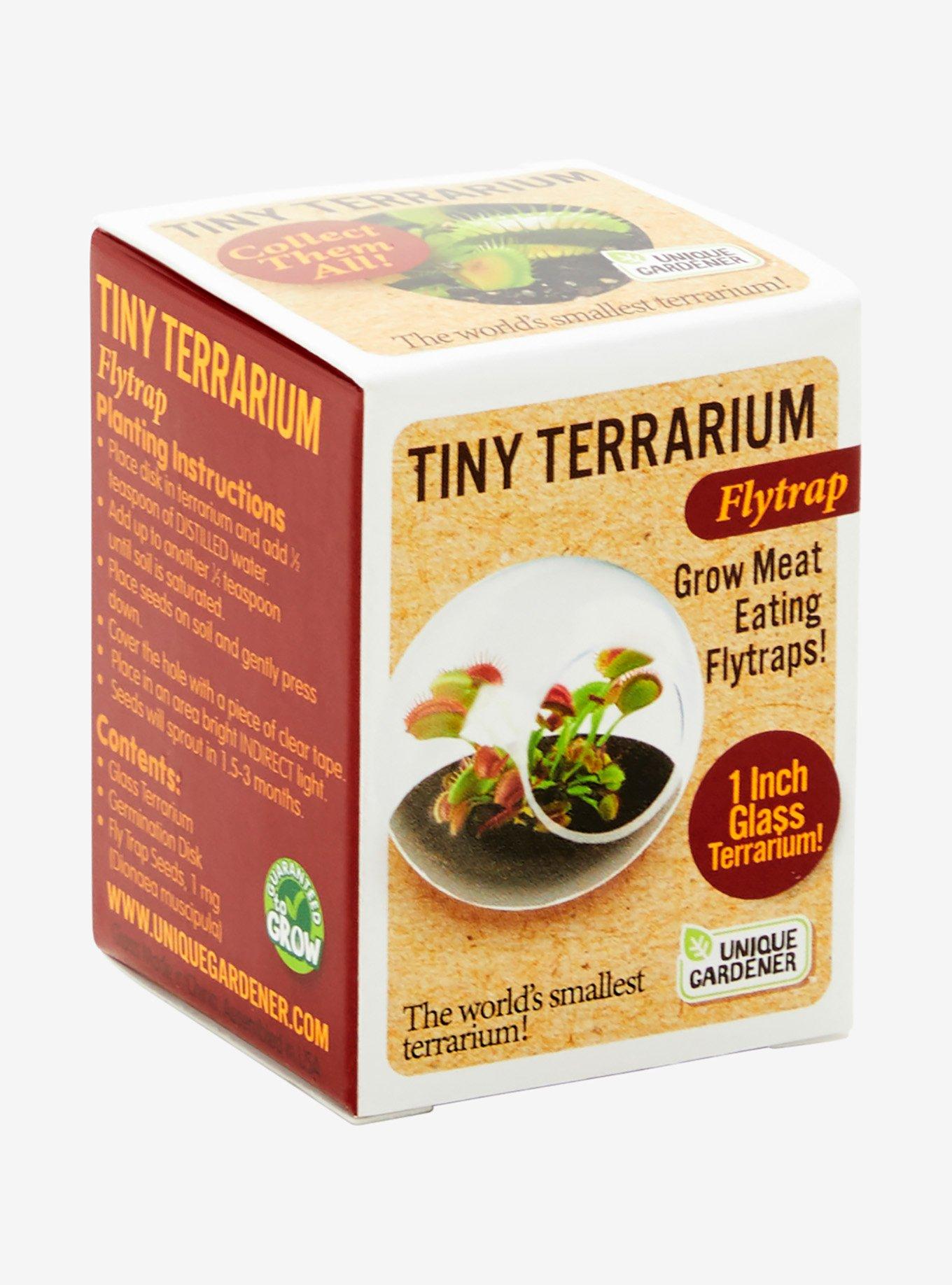 Flytrap Tiny Terrarium Kit, , hi-res