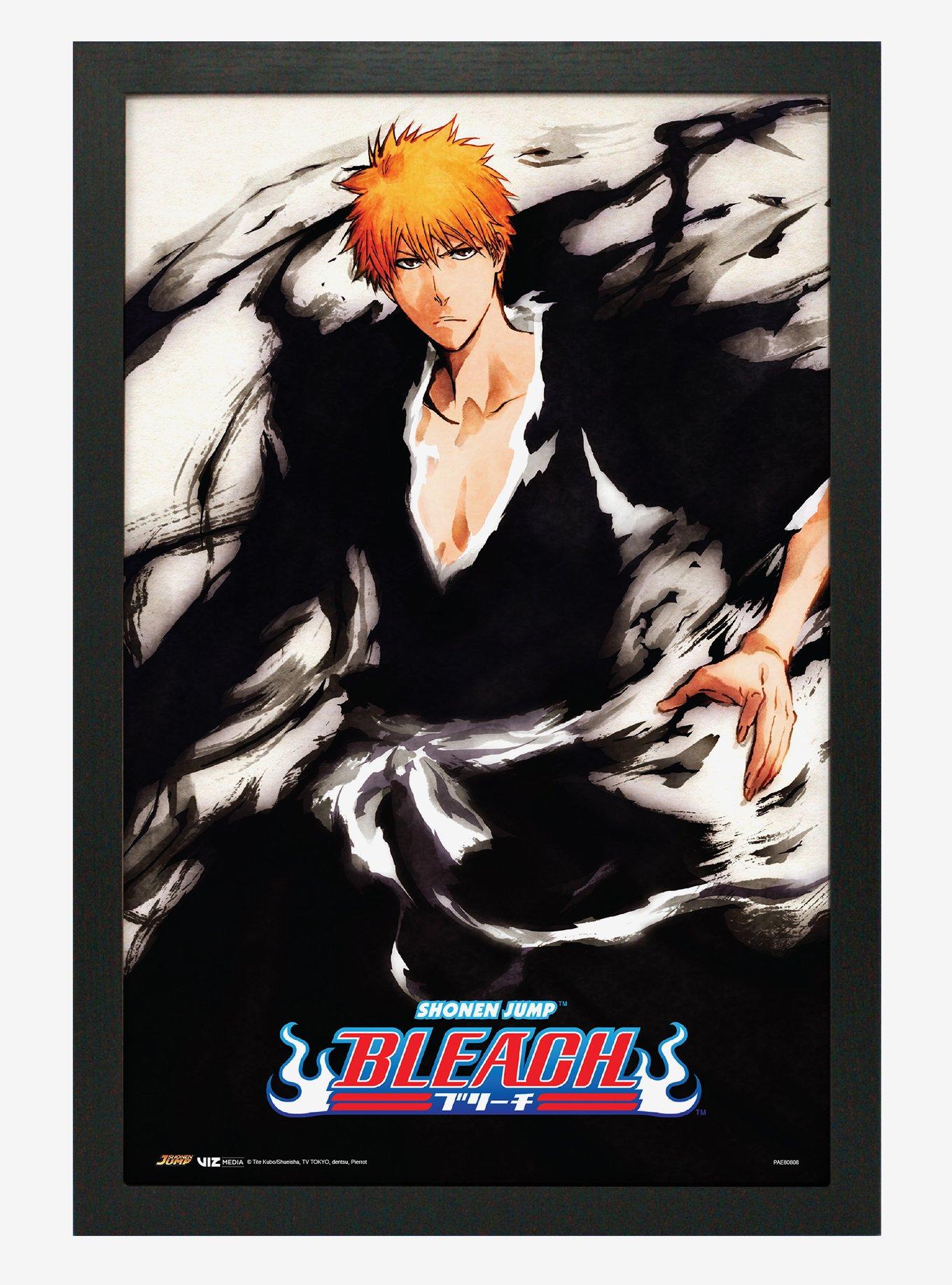 Bleach Ichigo Paint Poster, , hi-res