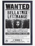 Harry Potter Bellatrix Wanted Framed Poster, , hi-res