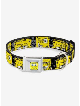 SpongeBob Close Up Expressions Dog Collar Seatbelt Buckle, , hi-res