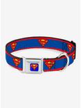 DC Comics Superman Shield Logo Dog Collar Seatbelt Buckle, MULTICOLOR, hi-res