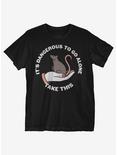 It's Dangerous To Go Alone Take This Rat T-Shirt, BLACK, hi-res