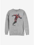 Marvel Ant-Man Spray Paint Sweatshirt, ATH HTR, hi-res
