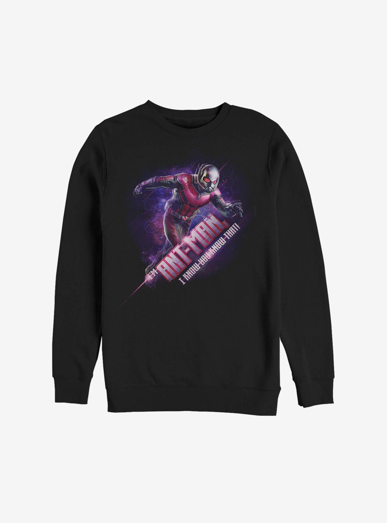 Marvel Ant-Man Hex Sweatshirt, , hi-res