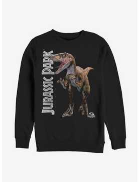Jurassic Park Velociraptor Sweatshirt, , hi-res