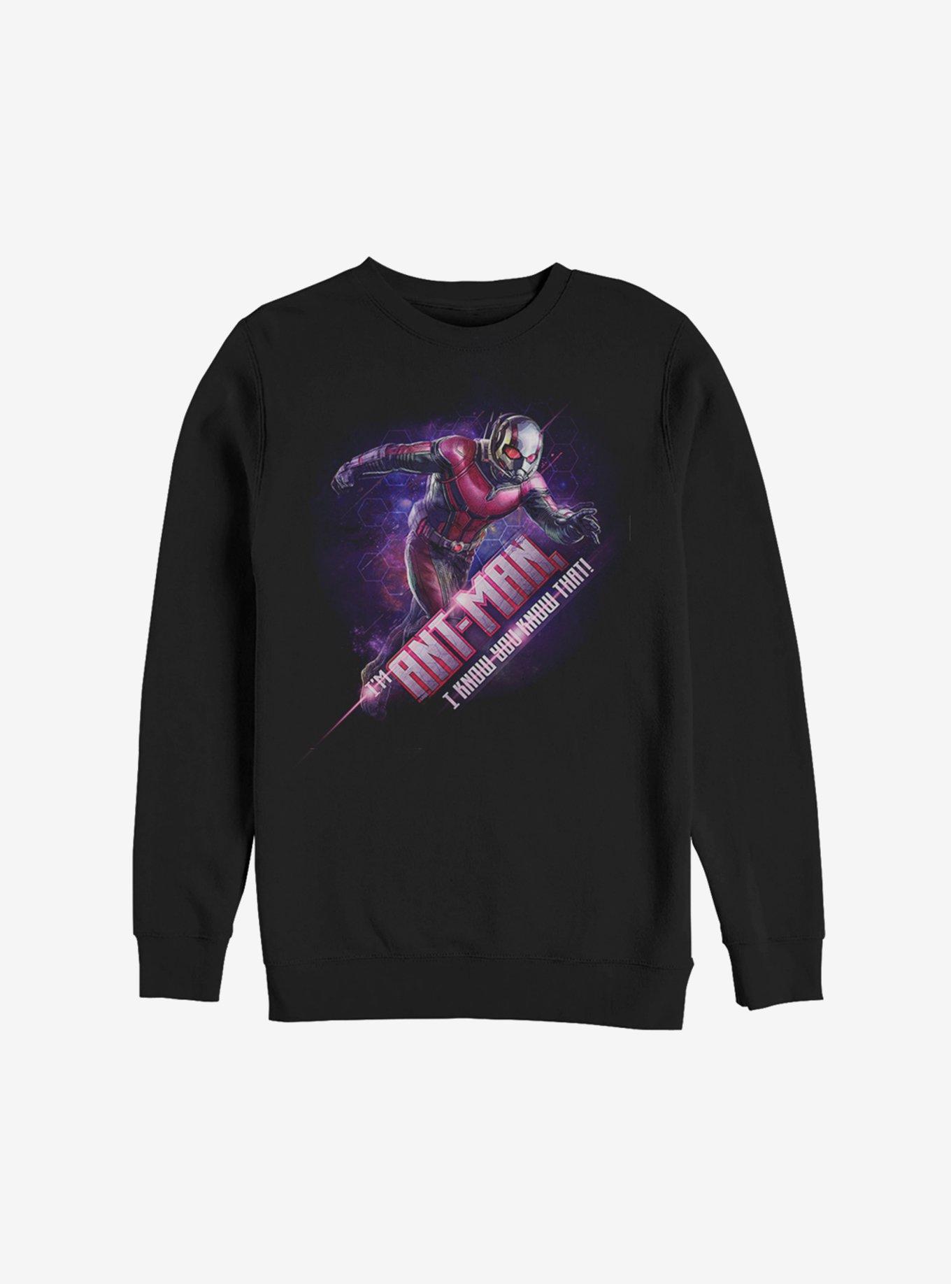 Marvel Ant-Man Hex Sweatshirt, BLACK, hi-res