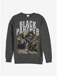 Marvel Black Panther Squad Sweatshirt, CHAR HTR, hi-res
