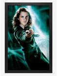 Harry Potter Oftp Hermione Poster, , hi-res