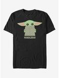 Star Wars The Mandalorian The Child Covered Face T-Shirt, BLACK, hi-res