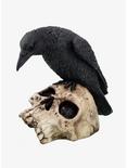 Raven On Skull Figurine, , hi-res