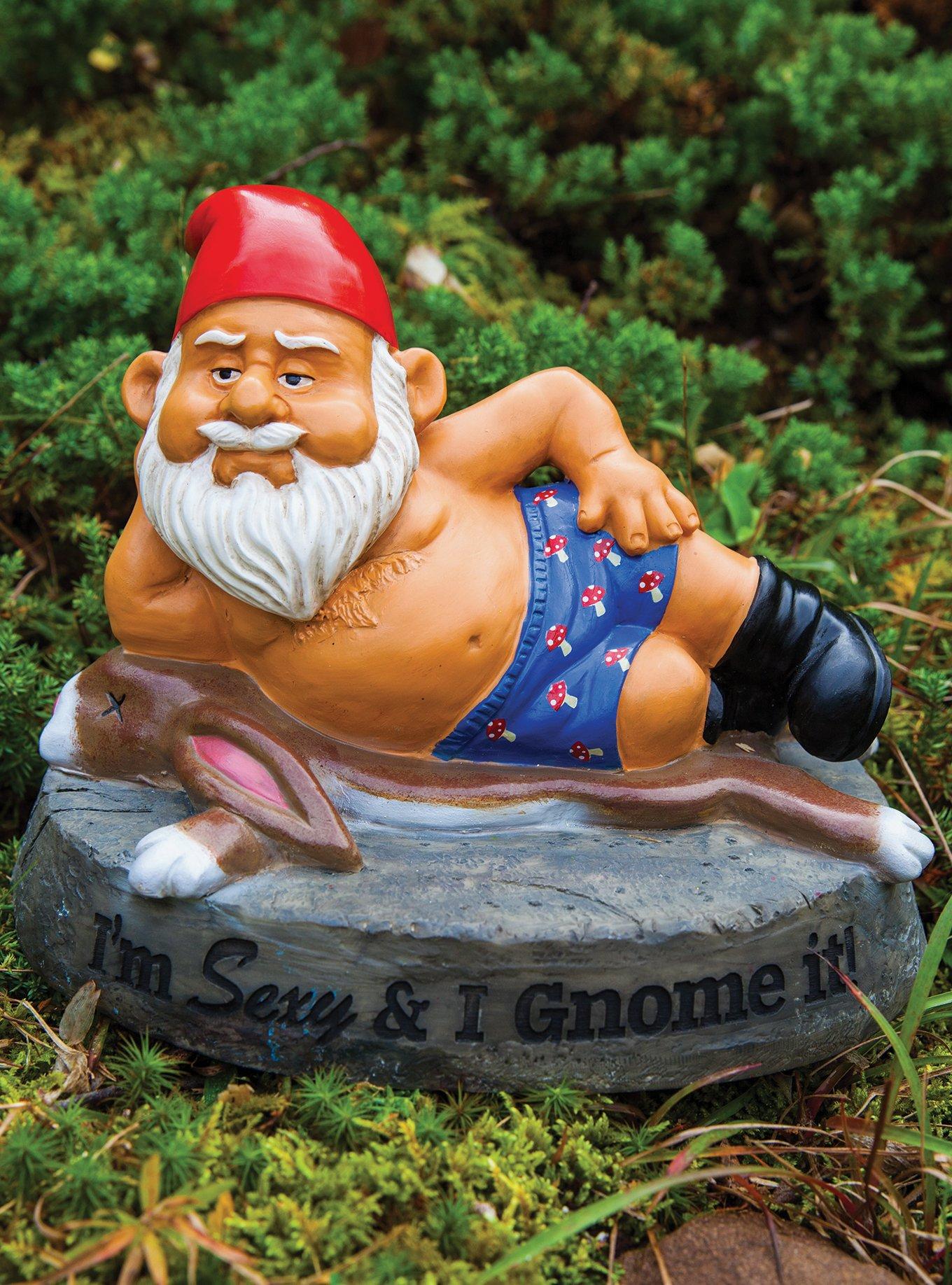 The Sexy And I Gnome It Garden Gnome, , hi-res