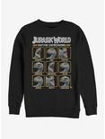 Jurassic World Expressions of Raptor Sweatshirt, BLACK, hi-res