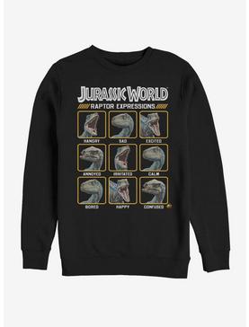 Jurassic World Expressions of Raptor Sweatshirt, , hi-res