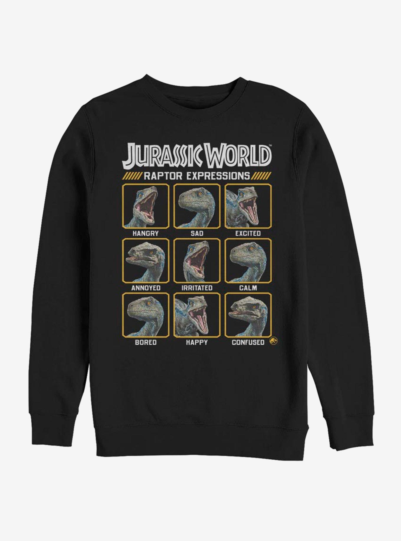 Jurassic World Expressions of Raptor Sweatshirt, , hi-res