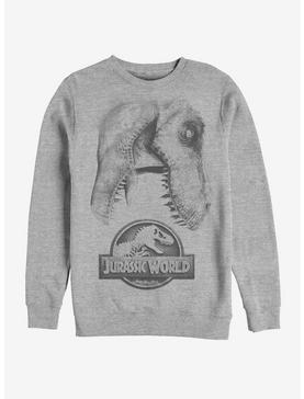Jurassic World Large Rex Sweatshirt, , hi-res