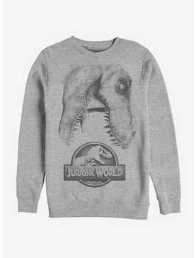Jurassic World Large Rex Sweatshirt, , hi-res