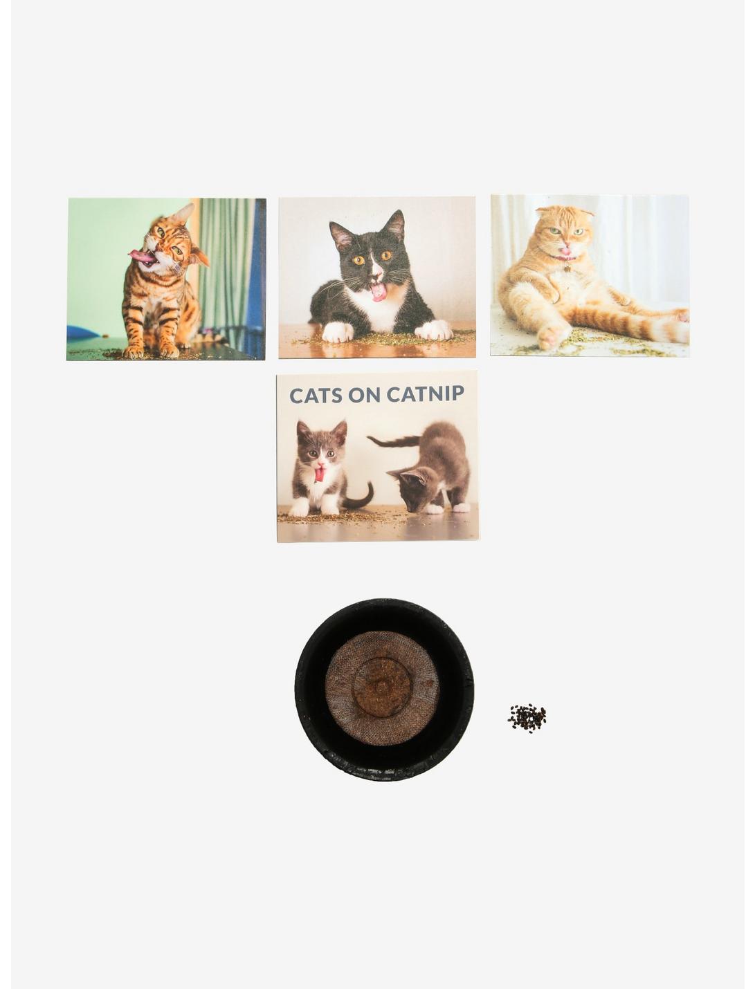 Cats On Catnip Mini Kit, , hi-res