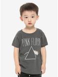 Pink Floyd Dark Side of the Moon Toddler T-Shirt - BoxLunch Exclusive, MULTI, hi-res
