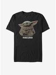 Star Wars The Mandalorian The Child Bounty T-Shirt, BLACK, hi-res