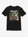 Star Wars The Mandalorian The Child Too Cute Youth T-Shirt, BLACK, hi-res