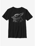 Star Wars The Mandalorian The Child Grayscale Youth T-Shirt, BLACK, hi-res