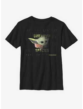 Star Wars The Mandalorian The Child Unknown Species Youth T-Shirt, , hi-res