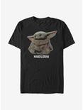 Star Wars The Mandalorian The Child Outlined T-Shirt, BLACK, hi-res