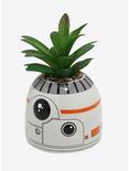 Star Wars BB-8 Faux Succulent Planter, , hi-res
