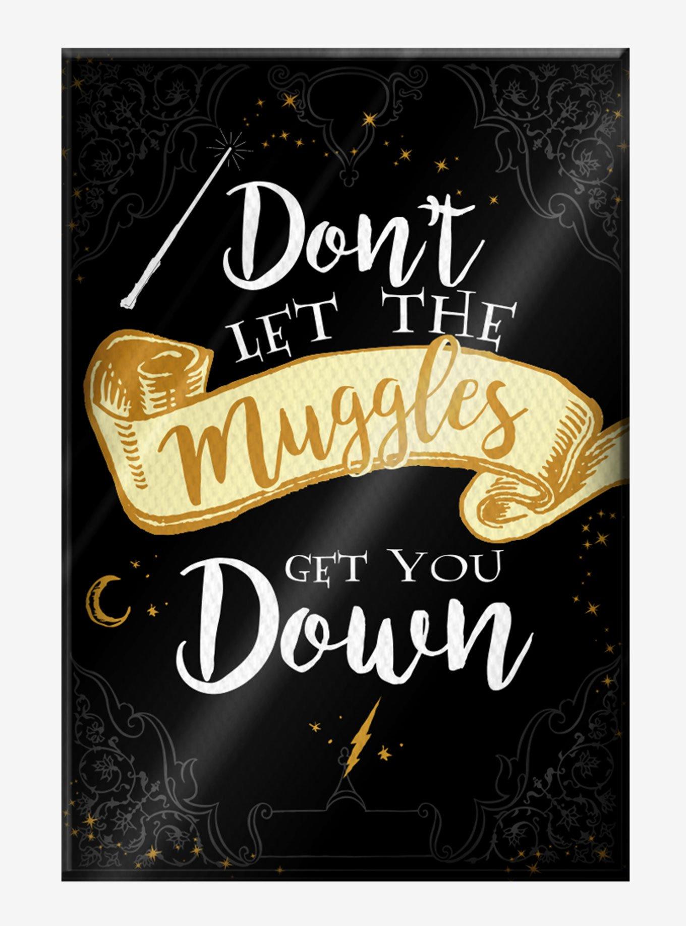 Harry Potter Muggles Canvas Wall Art, , hi-res