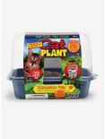 Crazy Cat Plant Mini Gardening Kit, , hi-res