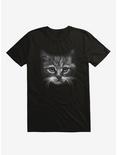 Everybody Wants To Be A Cat Black T-Shirt, BLACK, hi-res