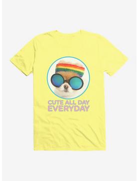 Boo The World's Cutest Dog Cute All Day Everyday T-Shirt, , hi-res
