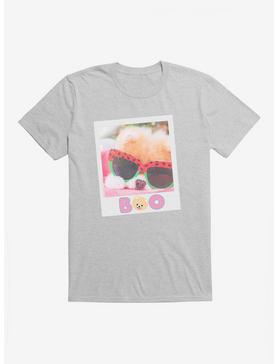 Boo The World's Cutest Dog Summer Polaroid T-Shirt, HEATHER GREY, hi-res