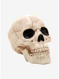 Plastic Skull, , hi-res