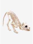 Skeleton Cat, , hi-res
