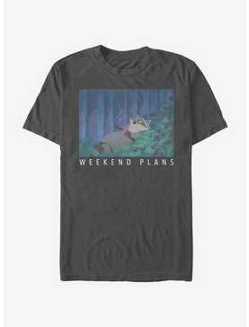 Disney Pocahontas Meeko Weekend T-Shirt, CHARCOAL, hi-res
