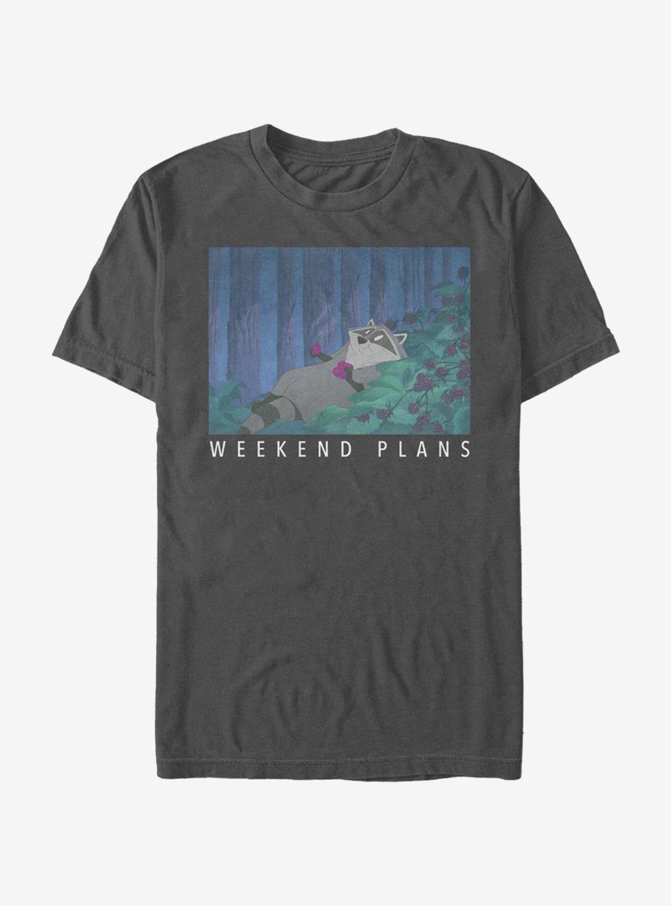 Disney Pocahontas Meeko Weekend T-Shirt, CHARCOAL, hi-res