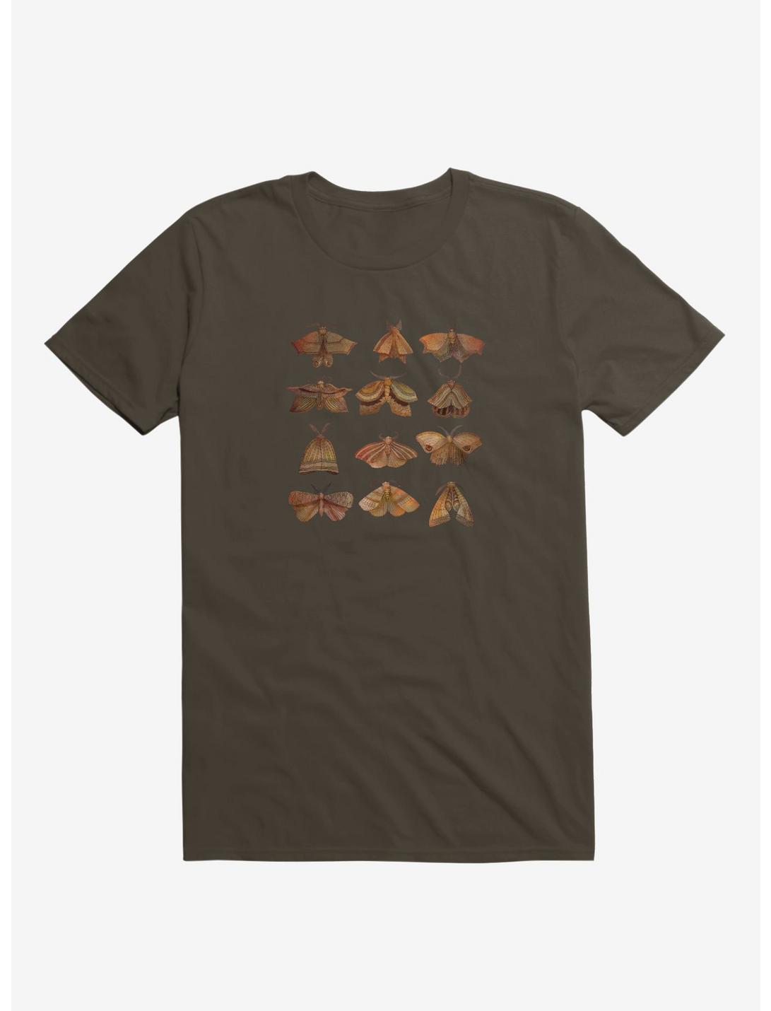 Moth Collector T-Shirt, BROWN, hi-res