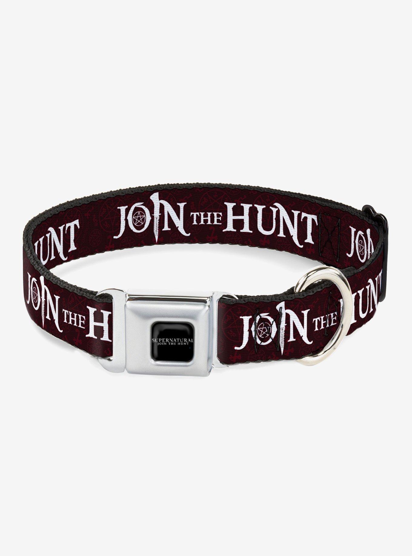 Supernatural Join the Hunt Symbols Scattered Seatbelt Buckle Dog Collar, BLACK, hi-res