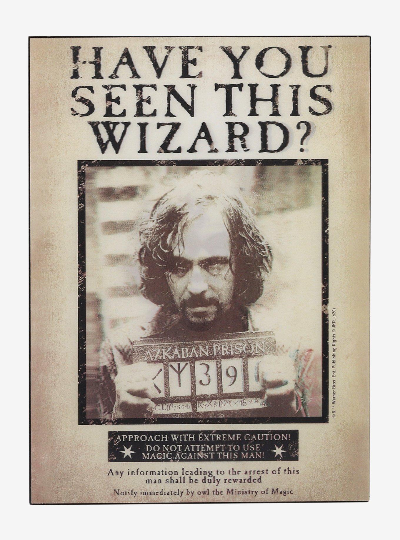 Harry Potter Have You Seen This Wizard? Lenticular Wood Wall Art, , hi-res