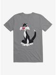 Looney Tunes Sylvester Grin T-Shirt, , hi-res