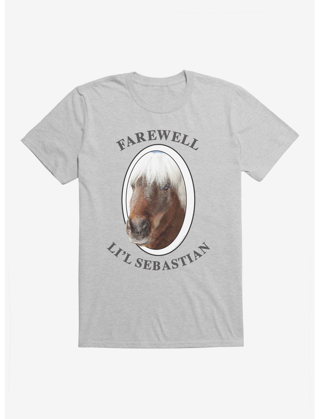 Parks And Recreation Farewell Sebastian T-Shirt, HEATHER GREY, hi-res