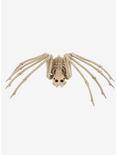 Skeleton Spider 20.5 In, , hi-res