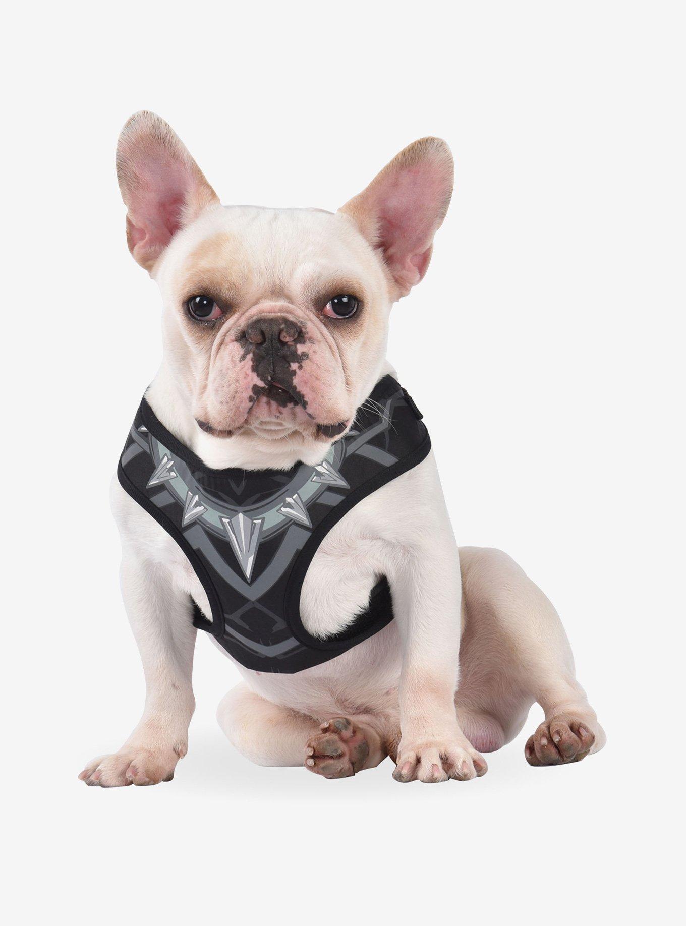 Marvel Black Panther Suit Pet Harness, MULTI, hi-res