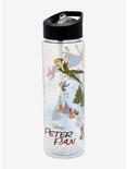 Disney Peter Pan Classic Art Water Bottle, , hi-res