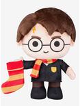 Harry Potter Harry Potter With Stocking Plush Room Decor, , hi-res