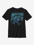 Marvel Black Panther Wakanda Cartoon Icon Youth T-Shirt, BLACK, hi-res