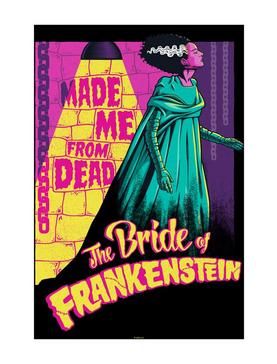 Universal Monsters The Bride Of Frankenstein Made From Dead Poster, , hi-res
